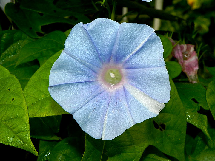 DSCN1180