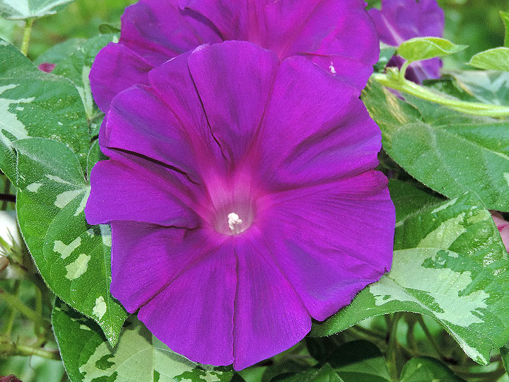 DSCN1184