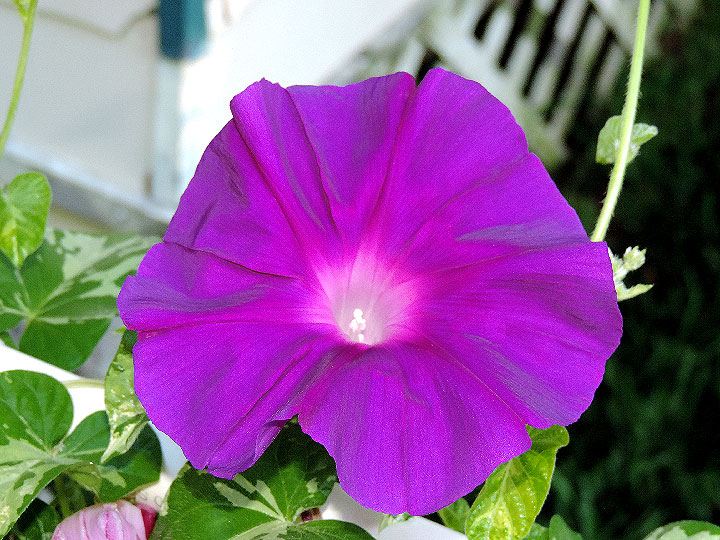 DSCN1185