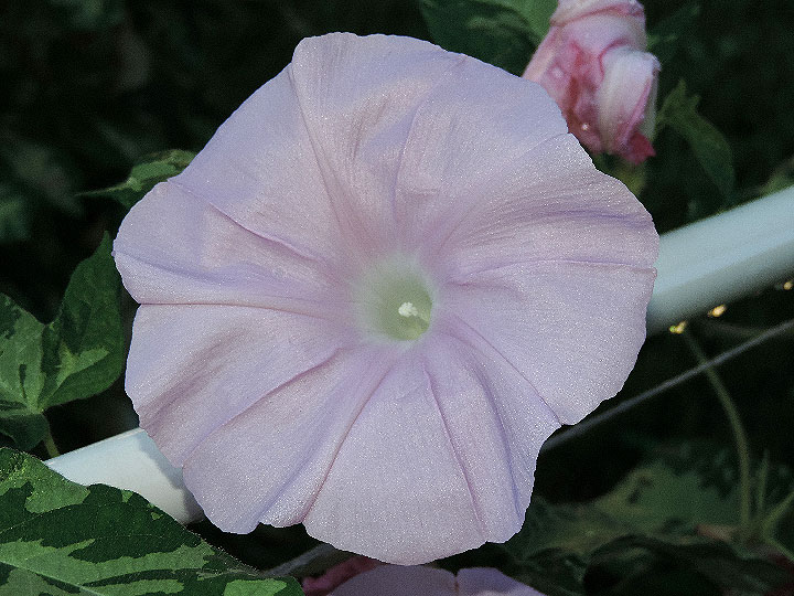 DSCN1191