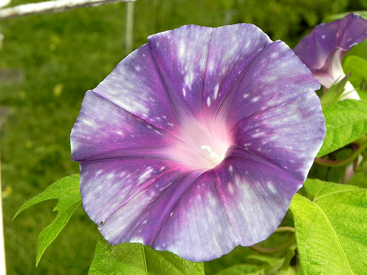 DSCN1191