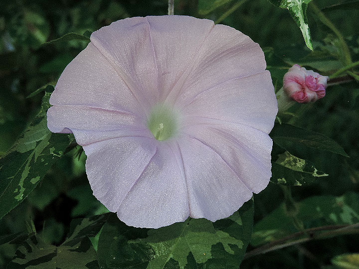 DSCN1193