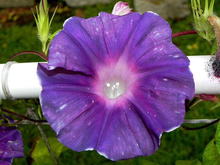 DSCN1194