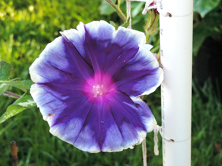 DSCN1220