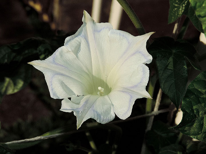 DSCN1243