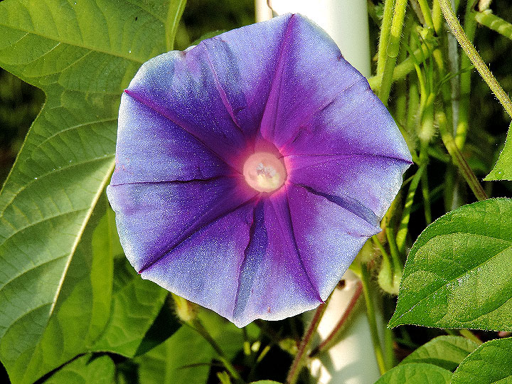 DSCN1245