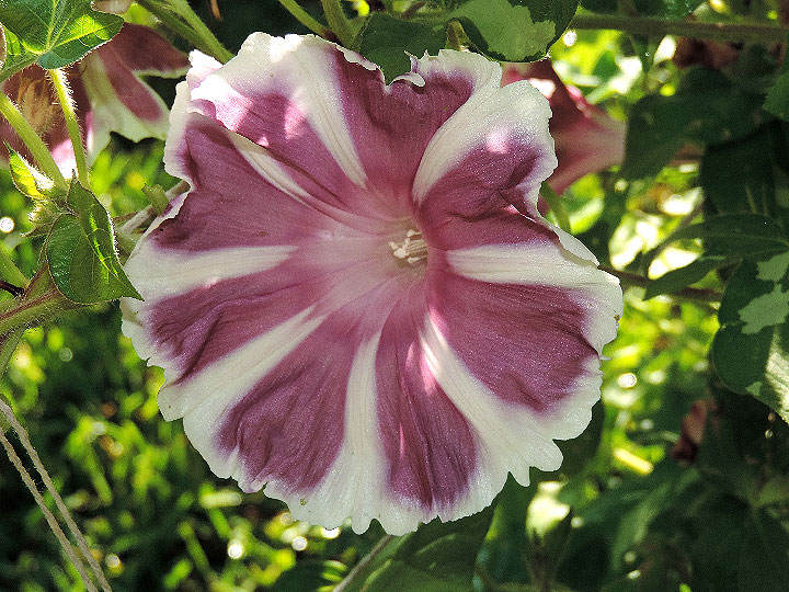 DSCN1252_01