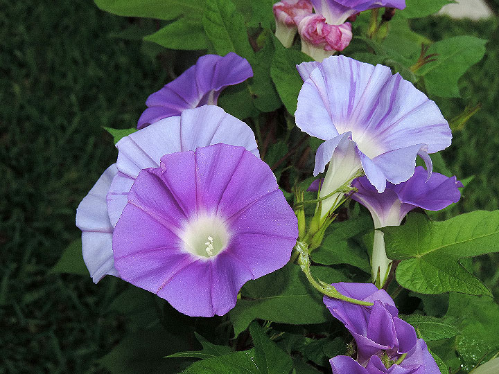DSCN1266