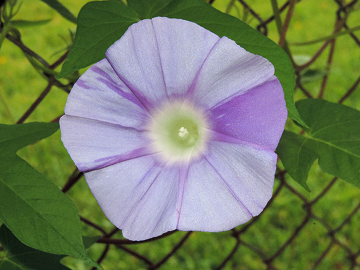 DSCN1268