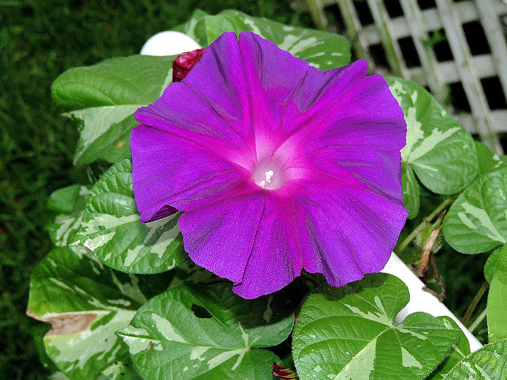 DSCN1361