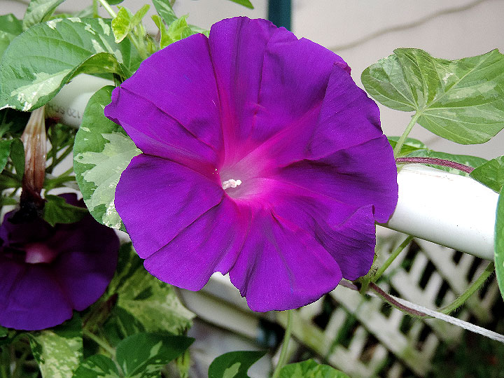 DSCN1363