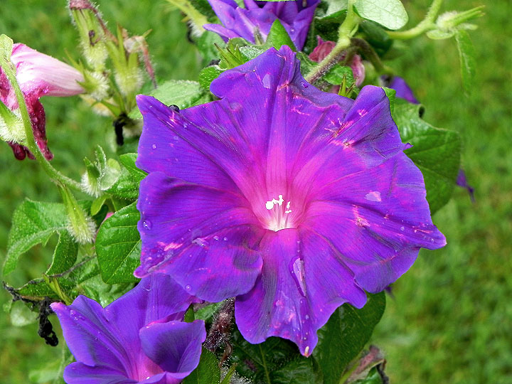 DSCN1448_01