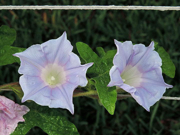 DSCN1450_01