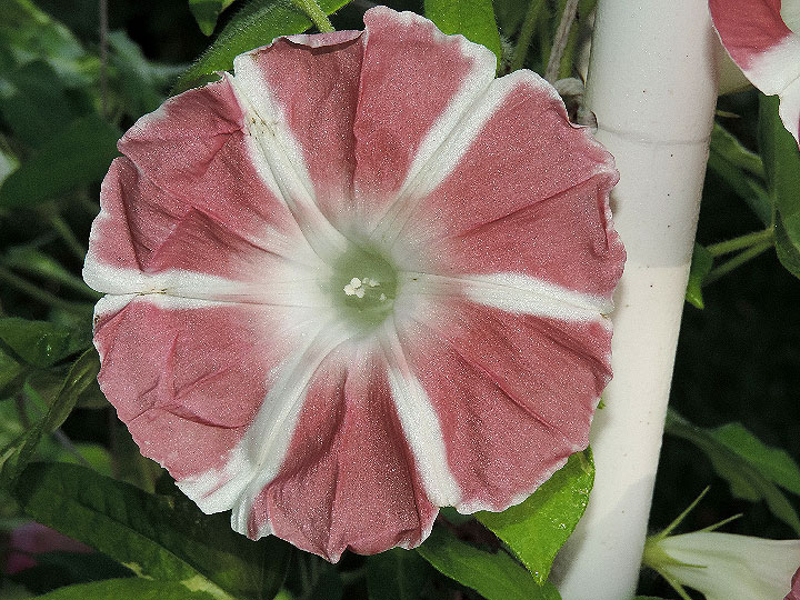 DSCN1461