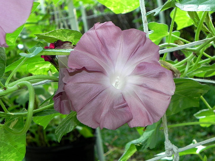 DSCN1472
