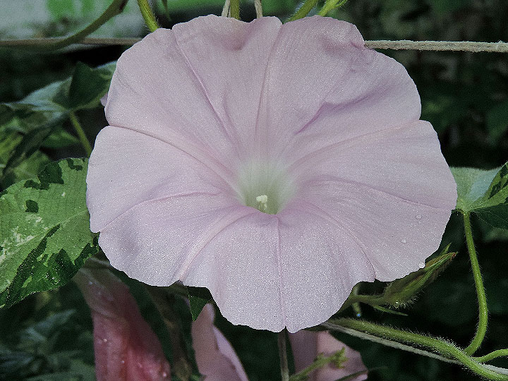 DSCN1473