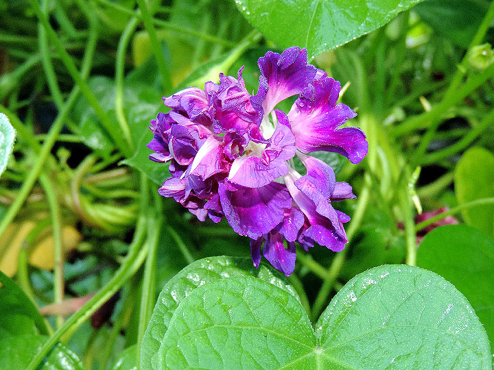 DSCN1519