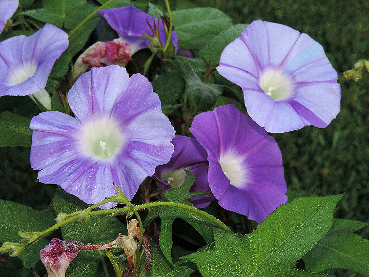 DSCN1528