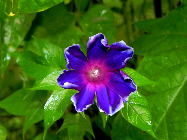 DSCN1542