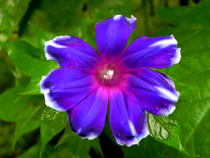 DSCN1544