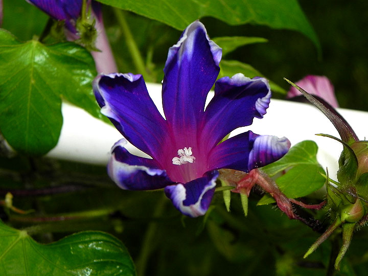 DSCN1546_01