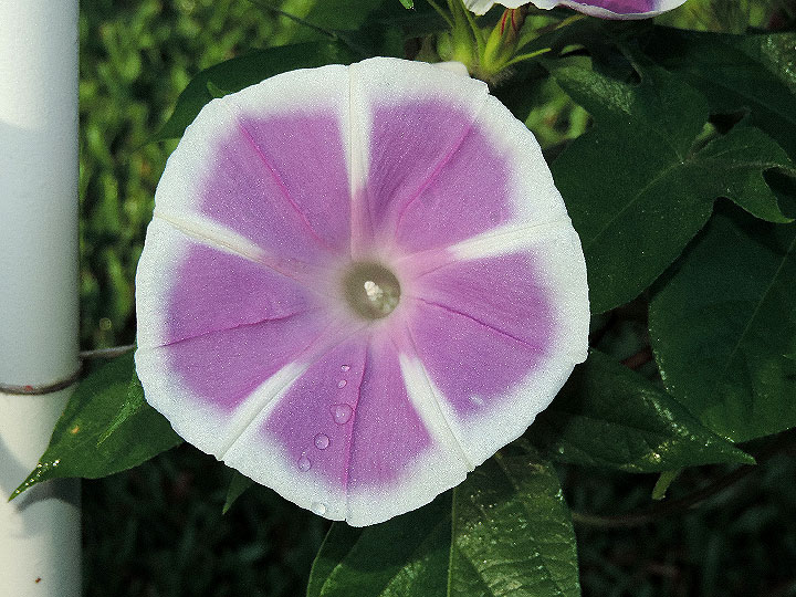 DSCN1557