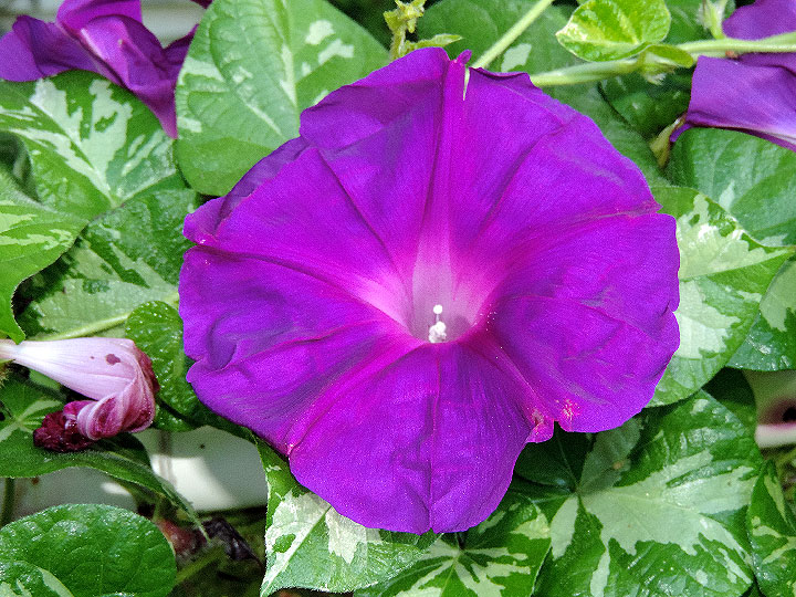 DSCN1565
