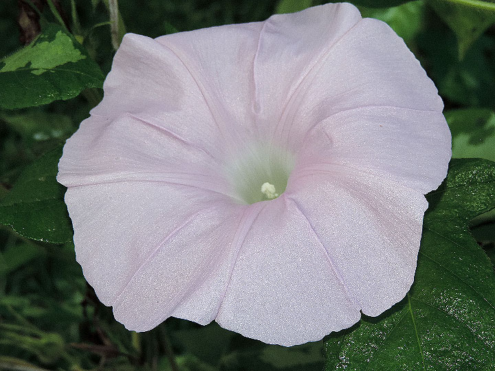 DSCN1567