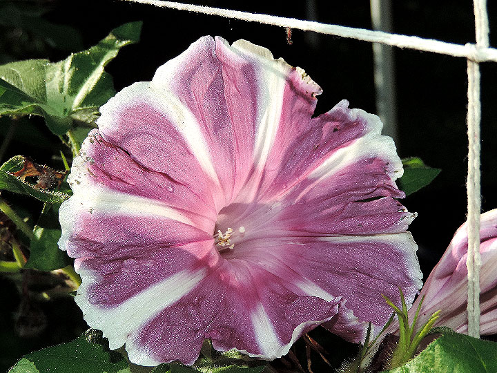 DSCN1599