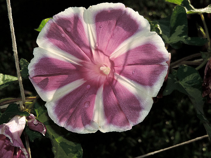DSCN1602