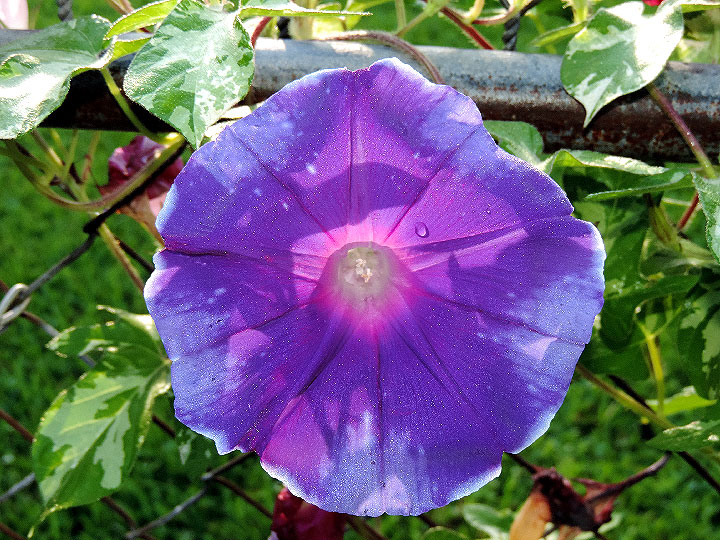 DSCN1624