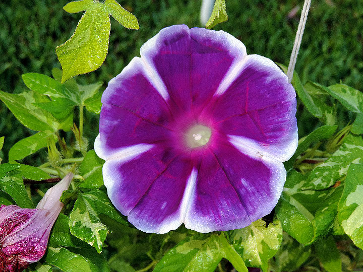 DSCN1648