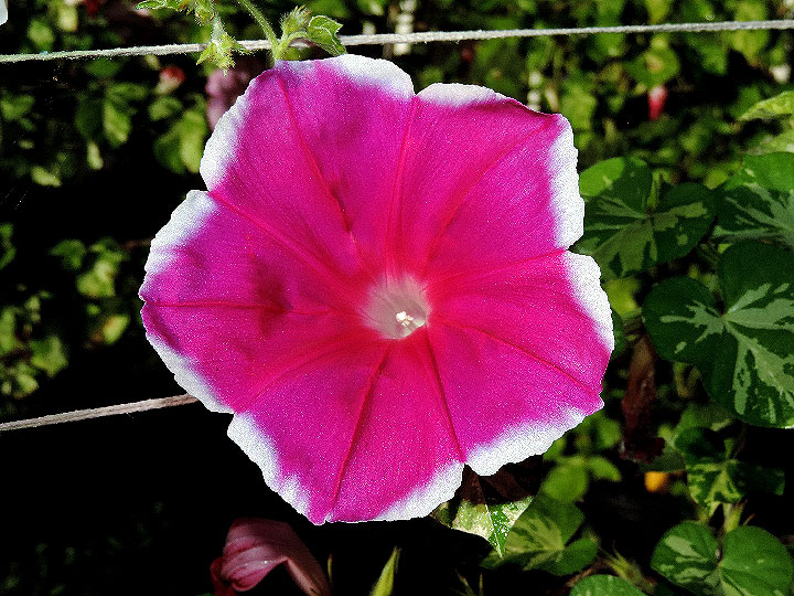 DSCN1681
