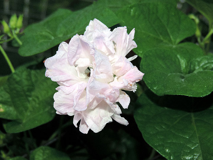 DSCN1717
