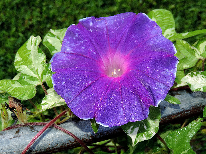 DSCN1719
