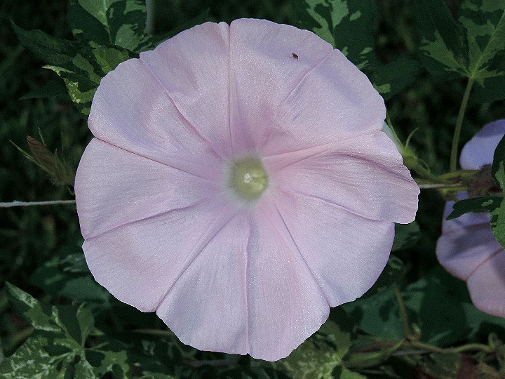 DSCN1760