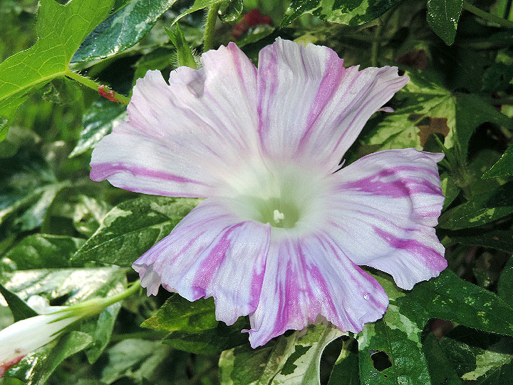 DSCN1773