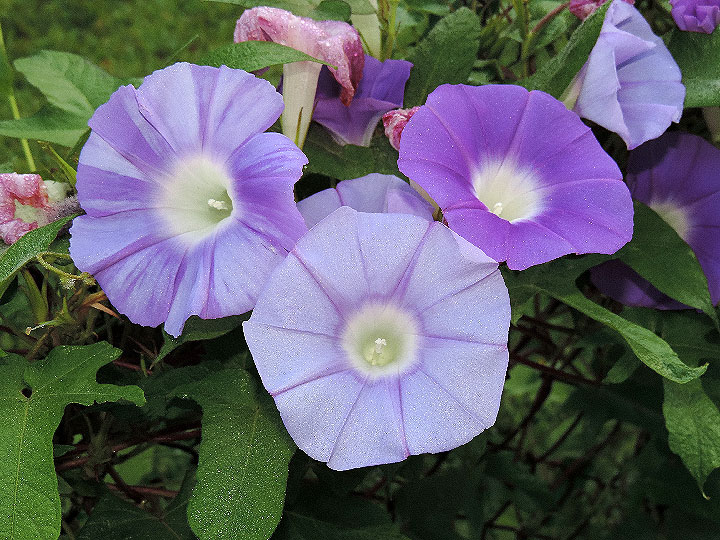 DSCN1819