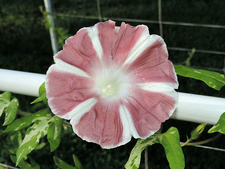 DSCN1840