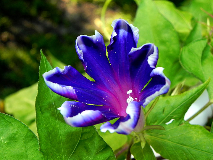 DSCN1902