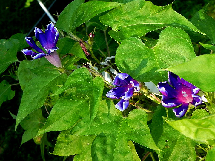 DSCN1904