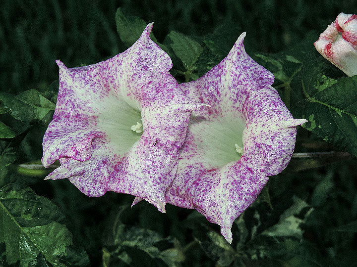 DSCN1989_01