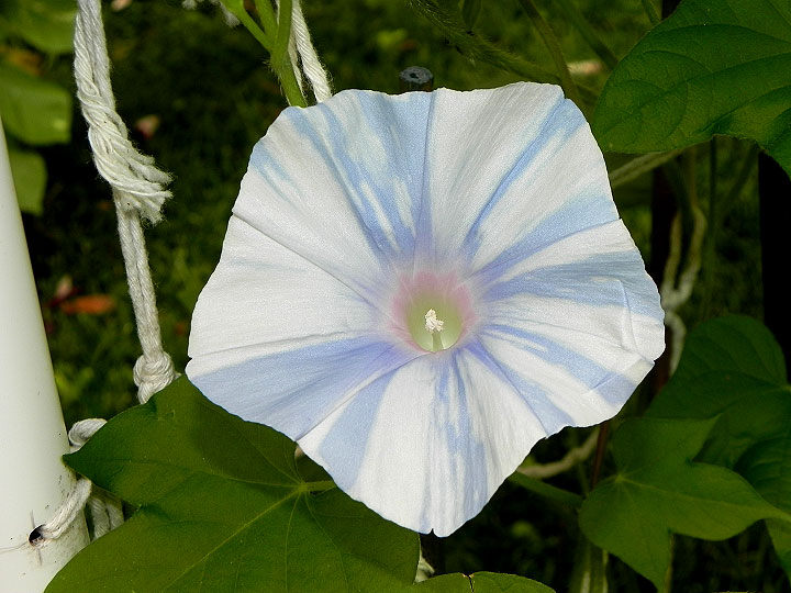 DSCN2027