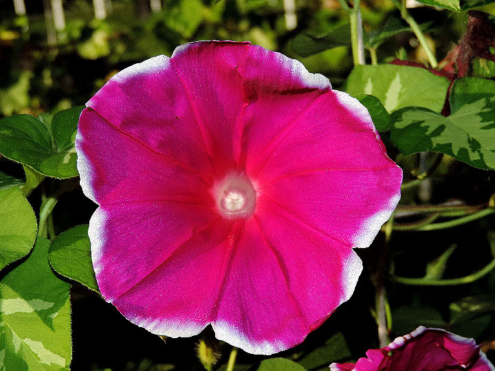 DSCN2037
