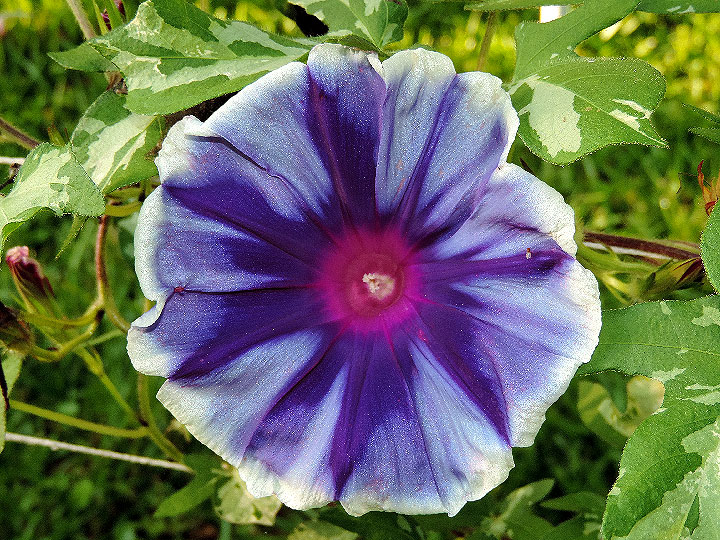 DSCN2138