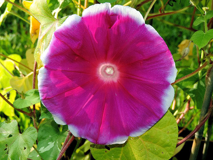 DSCN2144