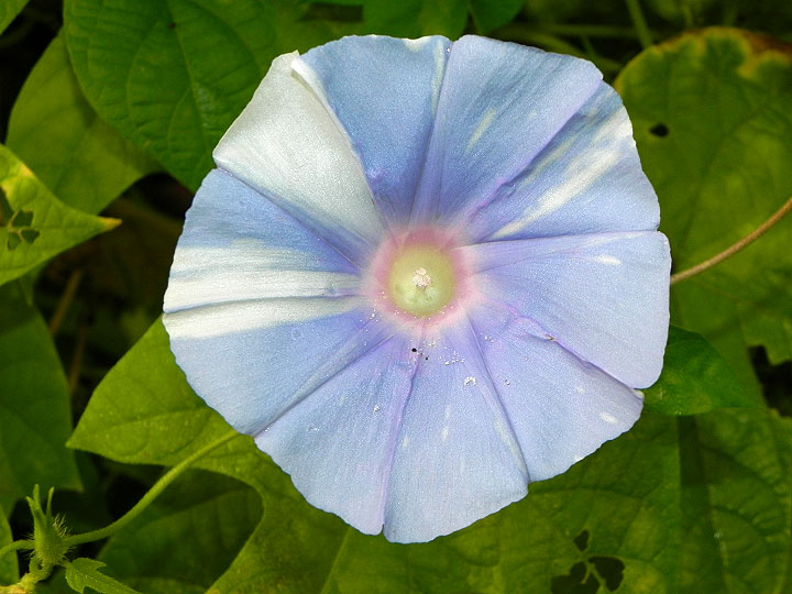 DSCN2232