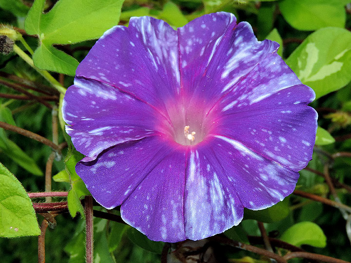 DSCN2284