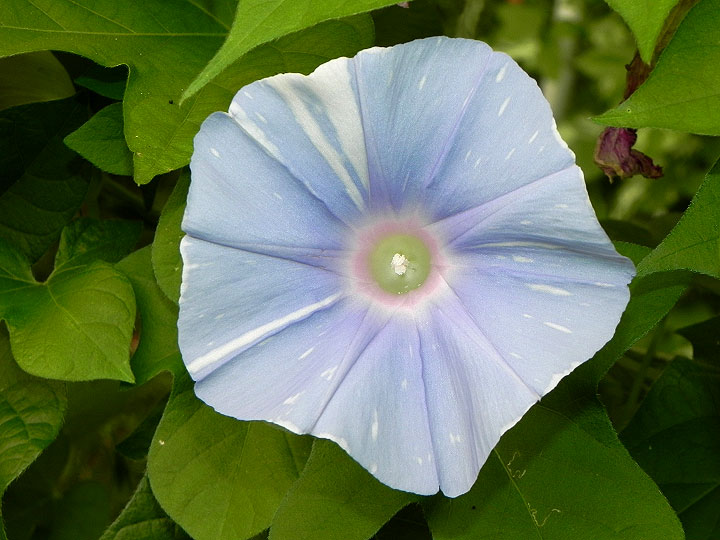DSCN2405