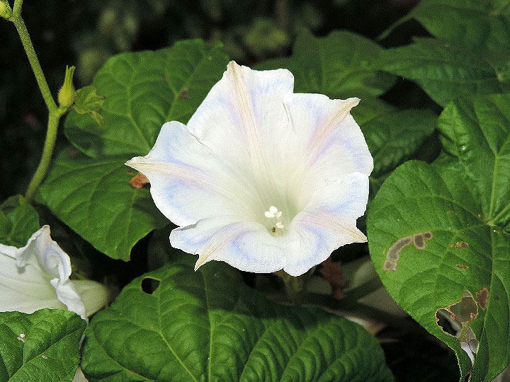 DSCN2490_01